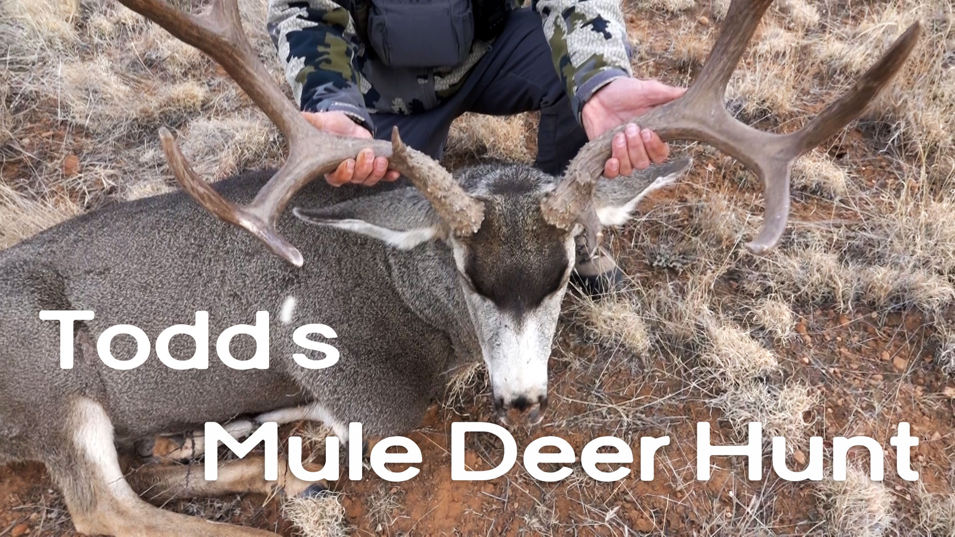 Late Season Mule Deer Hunt